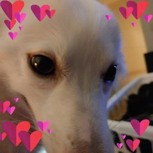 Meet your Posher, Angela